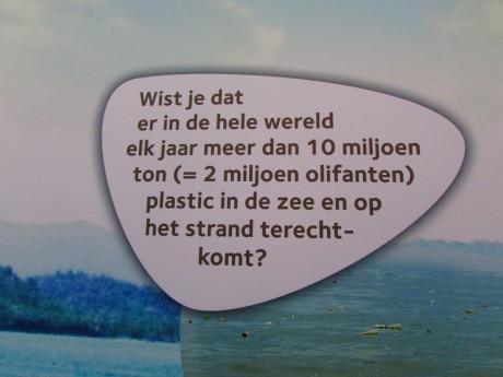 008-.JPG